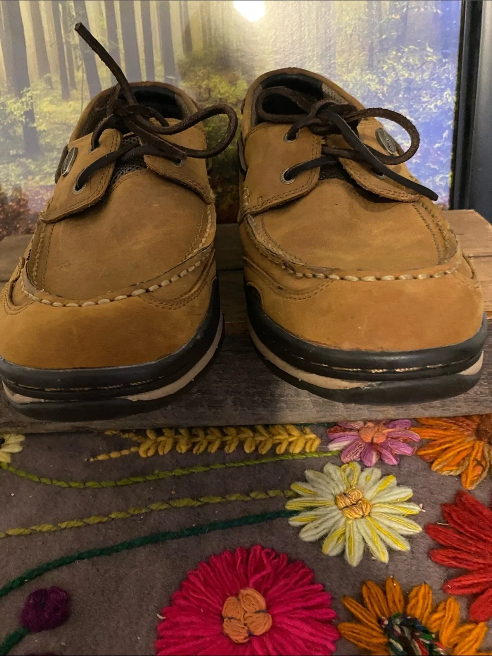 Irish Setter sturdy leather